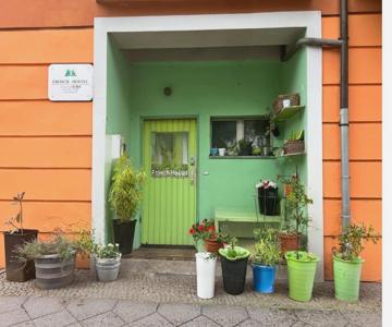 Frosch Hostel