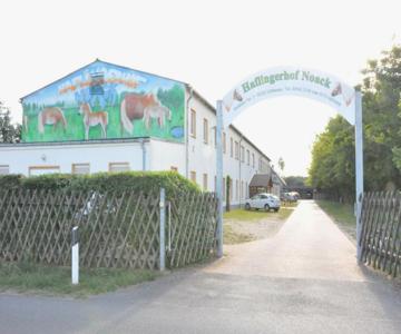 Haflingerhof Noack