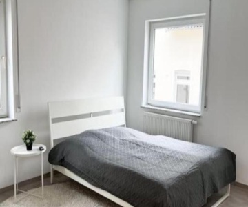 Neu Sanierte Einzimmerwohnung