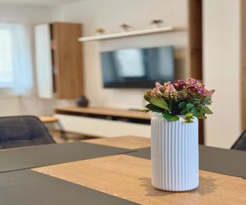 Hygge-flats Apartment Für 2-6, Wlan, Homeoffice