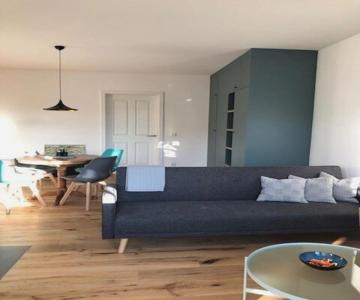 Msf Apartment Green Wolf