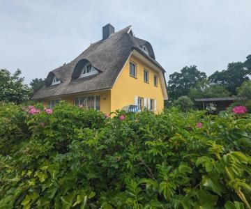 Haus Wikinger