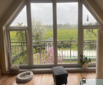 Experience Peace And Quiet Enjoy Space