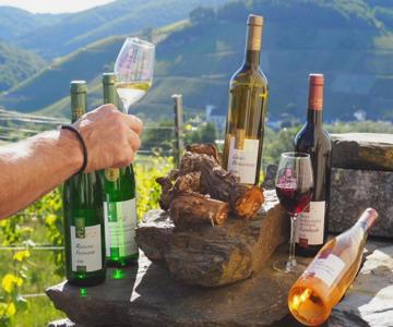 Weingut & Gästehaus Andreas Erz