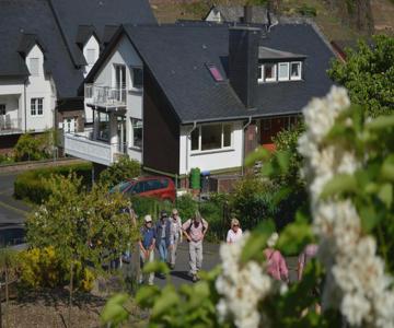 Weingut Im Moselkrampen