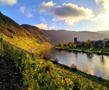 Ferienweingut Gansen