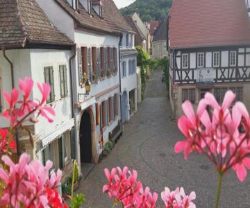 Haus Wasmuth - Ferienwohnung Dorfplatz