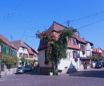 Ferienwohnung „brot & Wein”