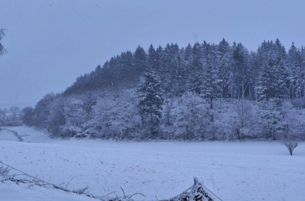 Ferienwohnung Natalia