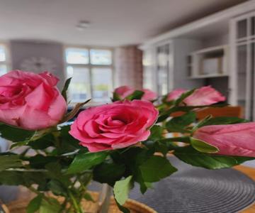 Ferienwohnung Im Konvent