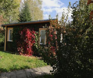 Ferienhaus Waldglück