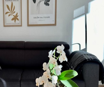 Modernes Zwei-zimmer-apartment Chemnitz - Kaßberg