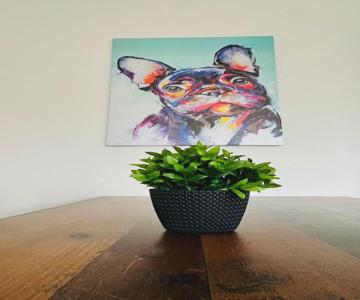 Gemütliches Altbauapartment I