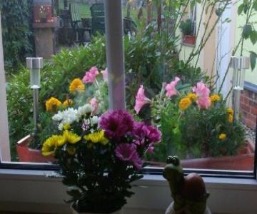 Gästewohnung Zum Wohlfühlen