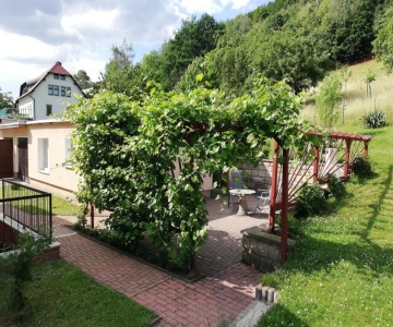 Ferienhaus Gänseblümchen