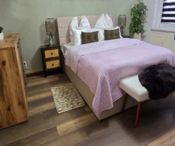 Cozy Pet-friendly Apartment