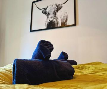 *modern* 2 Personen, Wlan