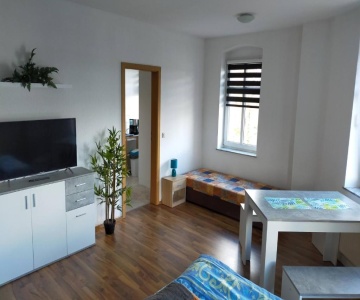 Flex Aparts - Große, Möblierte Wohnung In Zwickau Mit 2 Zimmern