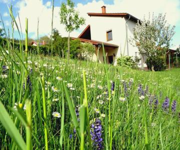 Ferienwohnung Schneider