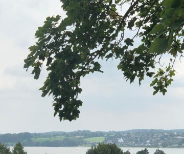 Ferienwohnung Möwe 14
