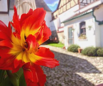 3 Seiten Ferienwohnung