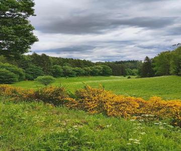 Seßles Waldhäusschen Dietzhausen
