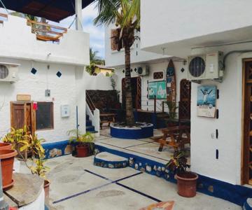 Galapagos Penguin Hostel