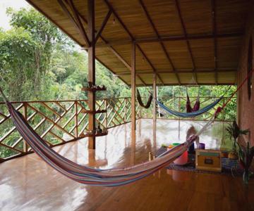 Wisdom Forest Lodge