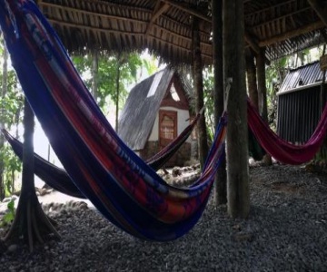 Jungle Roots Glamping
