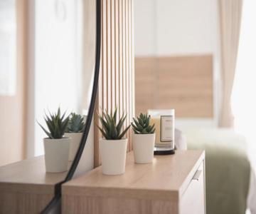 Niki Студія Нова, Після Ремонту