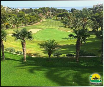Palmeras Del Golf - Torrequebrada