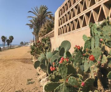 Lancón Boutique Carboneras