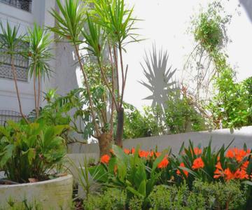 Sunshine Patio Del Circulo