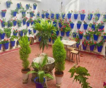 Apartamento Toril-casco Histórico