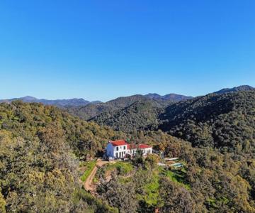 Finca Bravo