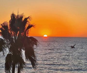 Fuengirola Center Beachfront Yate