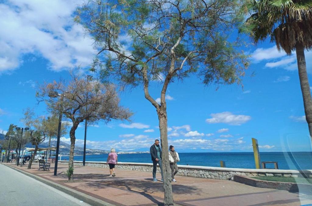 El Laurel Apartamentos