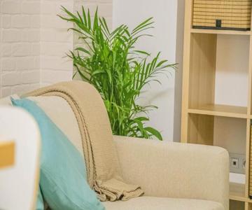 Loft Garrucha Center