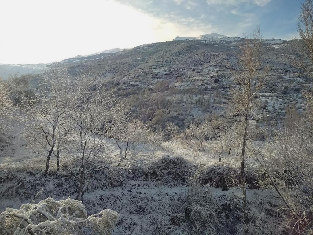 Casa Rural Arroyo de la Greda, your perfect base for activities in Sierra Nevada and Granada