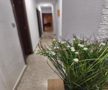 Alojamiento Comercio.