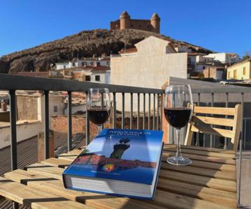 Apartamentos Torreón De Manuela