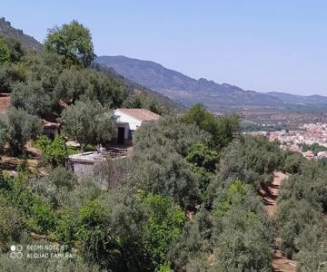 Cortijo las lagunillas