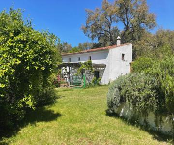 La Casita De Platero