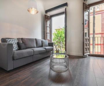 Spacious Duplex With Terrace By Picasso Museum By Rems