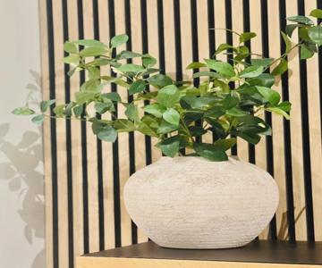 Belle Vue Malaga Suite