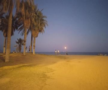 Upla - Urban Playa Luz Apartamentos