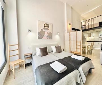 Loft Marbella Center