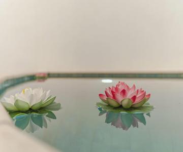 El Mirador Del Valle