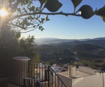 Mirador Del Olivar