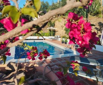 Finca Flamenco Holiday Suites